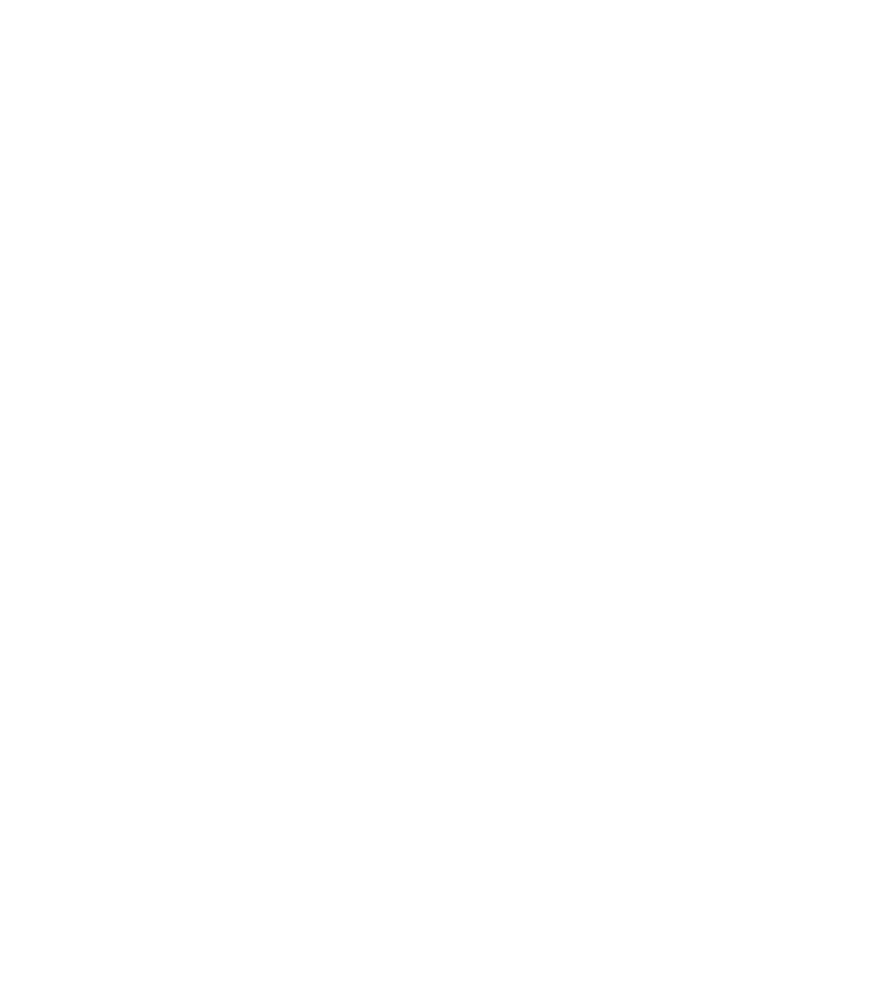 Riverstone Mall Logo White